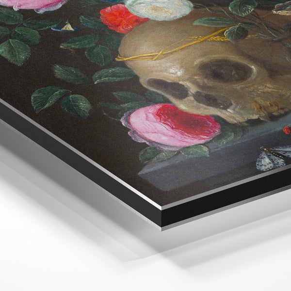 Nature morte baroque : crâne et roses roses — Aluminium Dibond