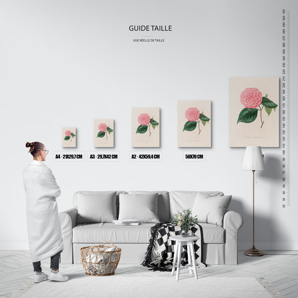 Le tableau, vue guide_taille.