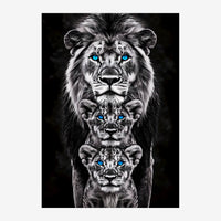Trois lions alignés verticalement en noir et blanc avec les yeux bleus, sur fond noir profond.