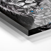 Gros plan de la matière : le tirage sous verre acrylique, tranche transparente visible.