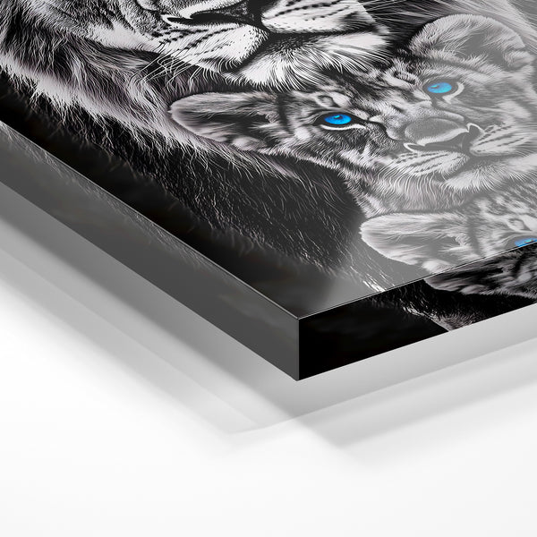 Trio de lions aux yeux bleus, noir et blanc — Verre acrylique