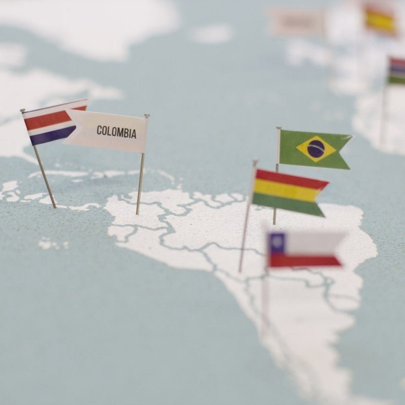 Pack pins drapeaux du monde