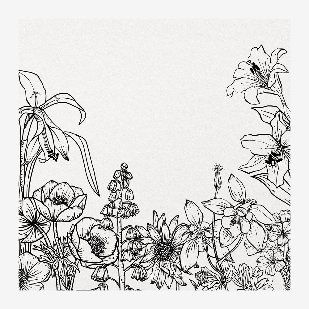 Illustration au trait noir représentant des fleurs variées - marguerites, lys et fleurs en clochettes - encadrant un espace.