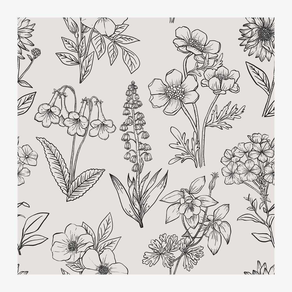 Composition de fleurs et feuillages variés dessinés au trait fin en noir sur fond beige pâle, style herbier minimaliste.