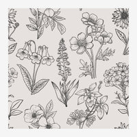 Composition de fleurs et feuillages variés dessinés au trait fin en noir sur fond beige pâle, style herbier minimaliste.