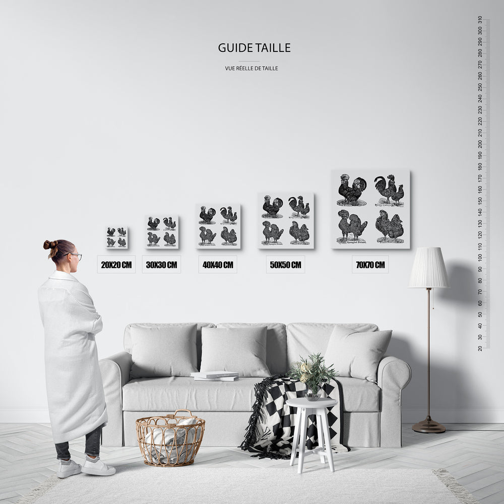 Guide des tailles : le tirage présenté dans ses 5 formats de vente, à l'échelle réelle sur un mur de salon, avec une règle en centimètres.