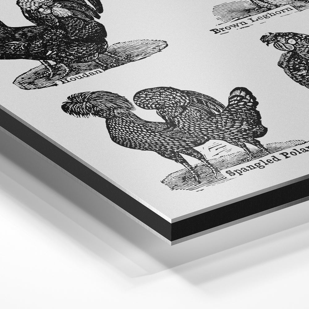 Gros plan de la matière : le tirage contrecollé sur aluminium Dibond mat, tranche visible.