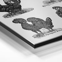 Gros plan de la matière : le tirage contrecollé sur aluminium Dibond mat, tranche visible.