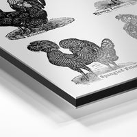 Gros plan du relief : la surépaisseur d'encre en lumière rasante sur aluminium Dibond.