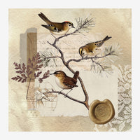 Trois oiseaux bruns perchés sur une branche, entourés de feuillages, de motifs géométriques et de traces d'écritures sur un.