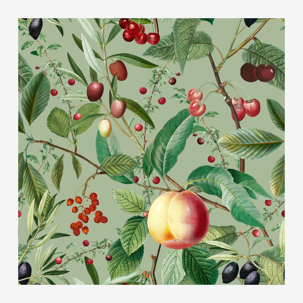 Illustration botanique montrant des branches chargées de pommes rouges et jaunes, cerises, et petits fruits noirs sur fond.