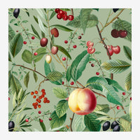 Illustration botanique montrant des branches chargées de pommes rouges et jaunes, cerises, et petits fruits noirs sur fond.