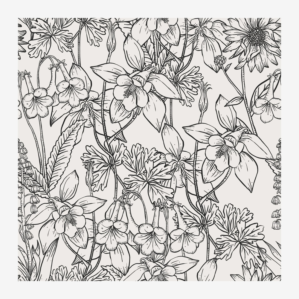 Illustration botanique représentant un dense jardin de fleurs variées dessinées en traits noirs sur fond blanc, dans un.