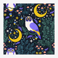 Affiche stylisée montrant un hibou bleu et blanc au centre, entouré de deux lunes jaunes, d'étoiles blanches, de feuillages.