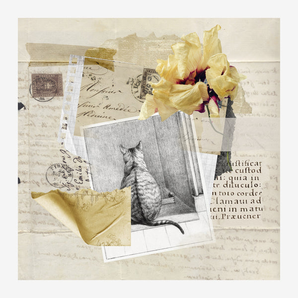 Composition en collage montrant des lettres timbres, un chat noir et blanc, une fleur jaune pâle et des textes manuscrits.