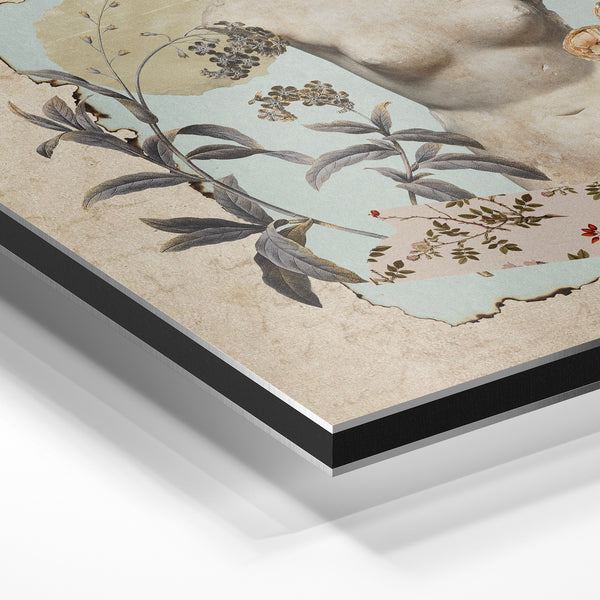 Buste et botanique antique, composition beige — Aluminium Dibond