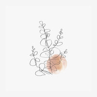 Brindilles d'eucalyptus dessinées au trait fin noir sur fond blanc crème, avec une tache aquarellée terracotta en.