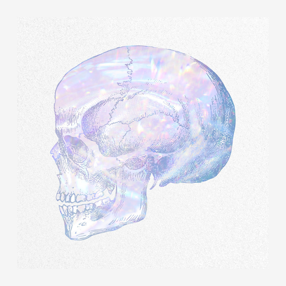 Illustration minimaliste d'un crâne en ligne continue, aux reflets iridescents roses, bleus et violets pâles sur fond blanc.