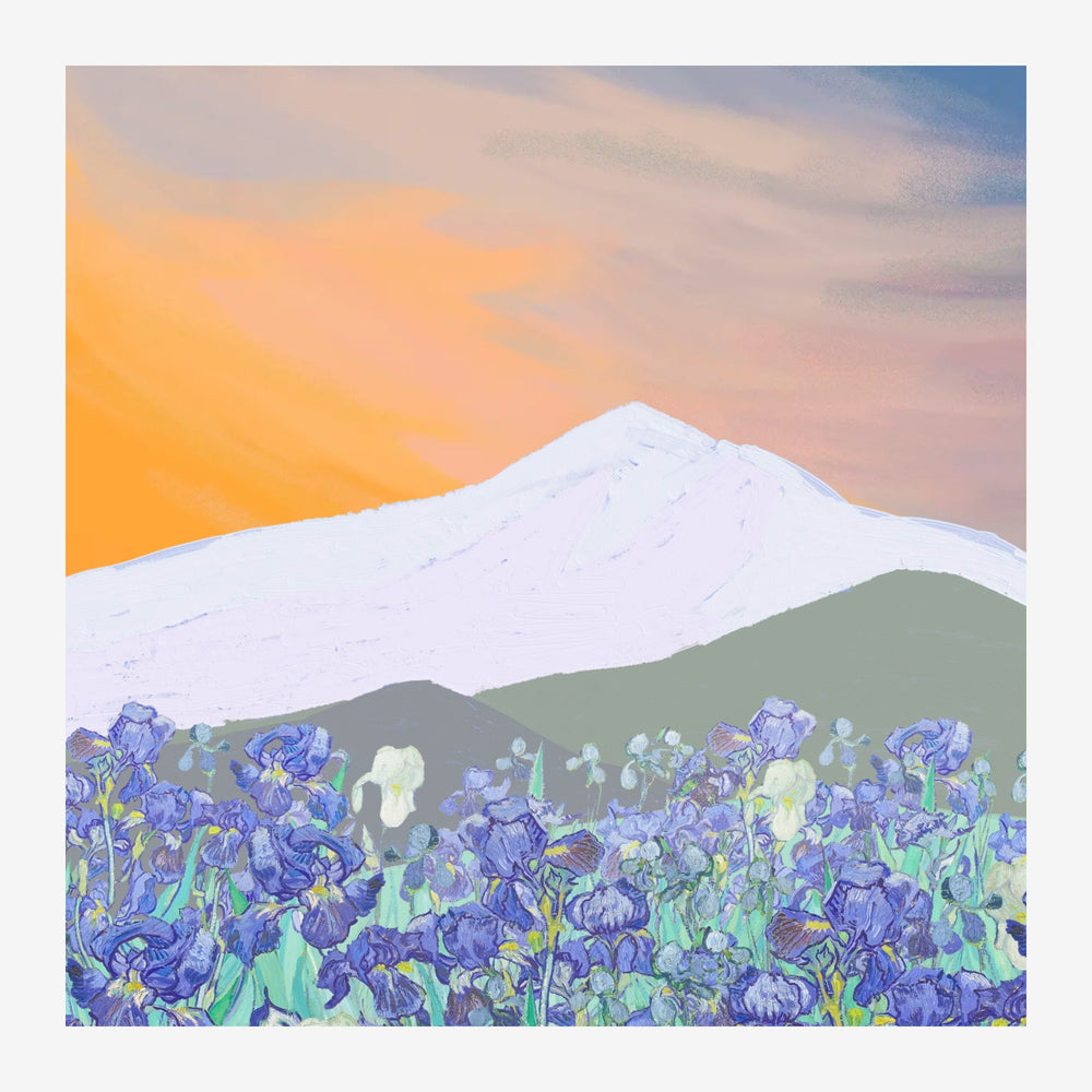 Un tableau représentant un champ d'iris bleus et violets au premier plan, avec une montagne aux versants blanc et gris-vert.