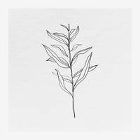 Dessin au trait noir d'une branche avec feuilles délicates sur fond blanc.