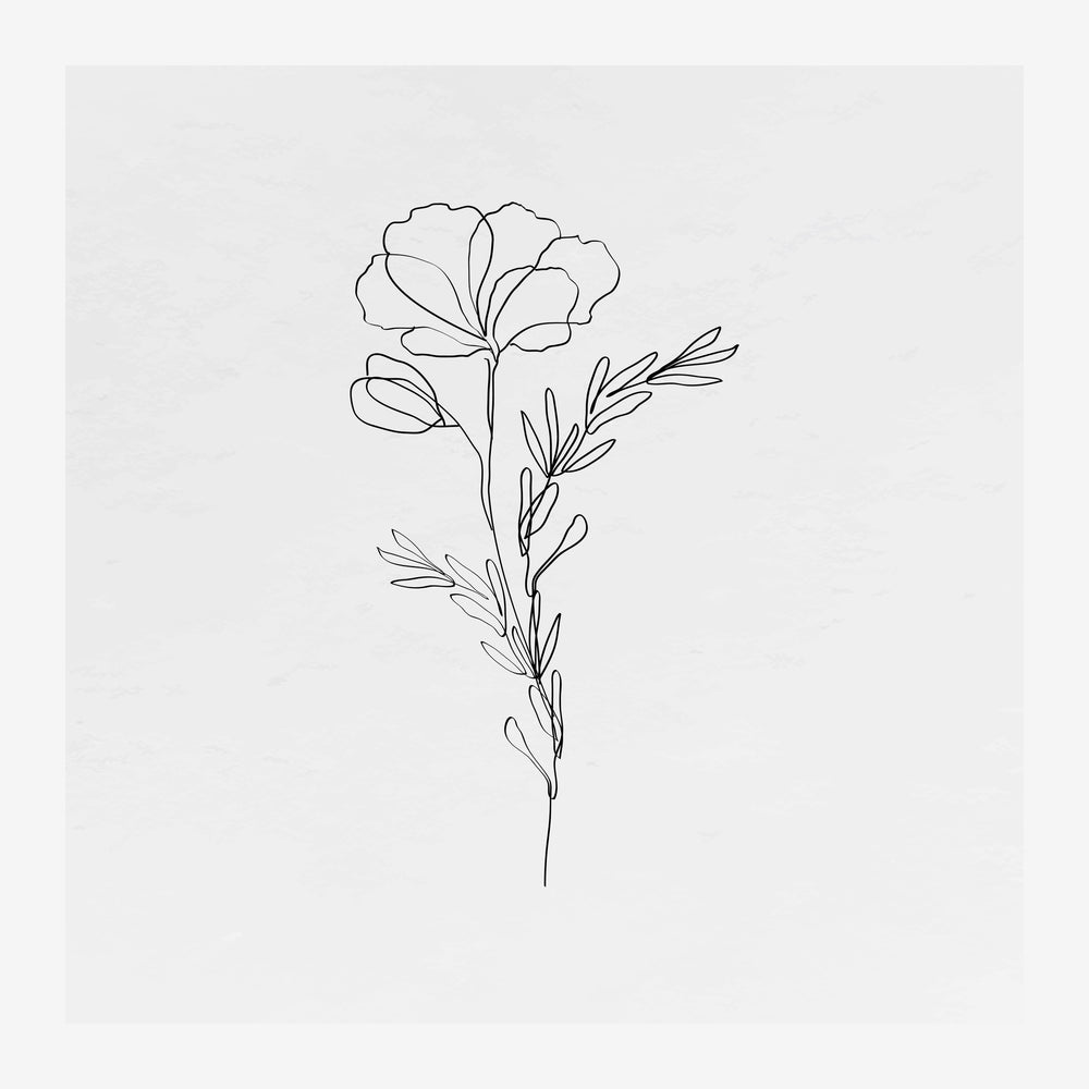 Dessin au trait d'une fleur épanouie avec pétales arrondis, accompagnée d'une tige mince et de feuillage stylisé, sur fond.