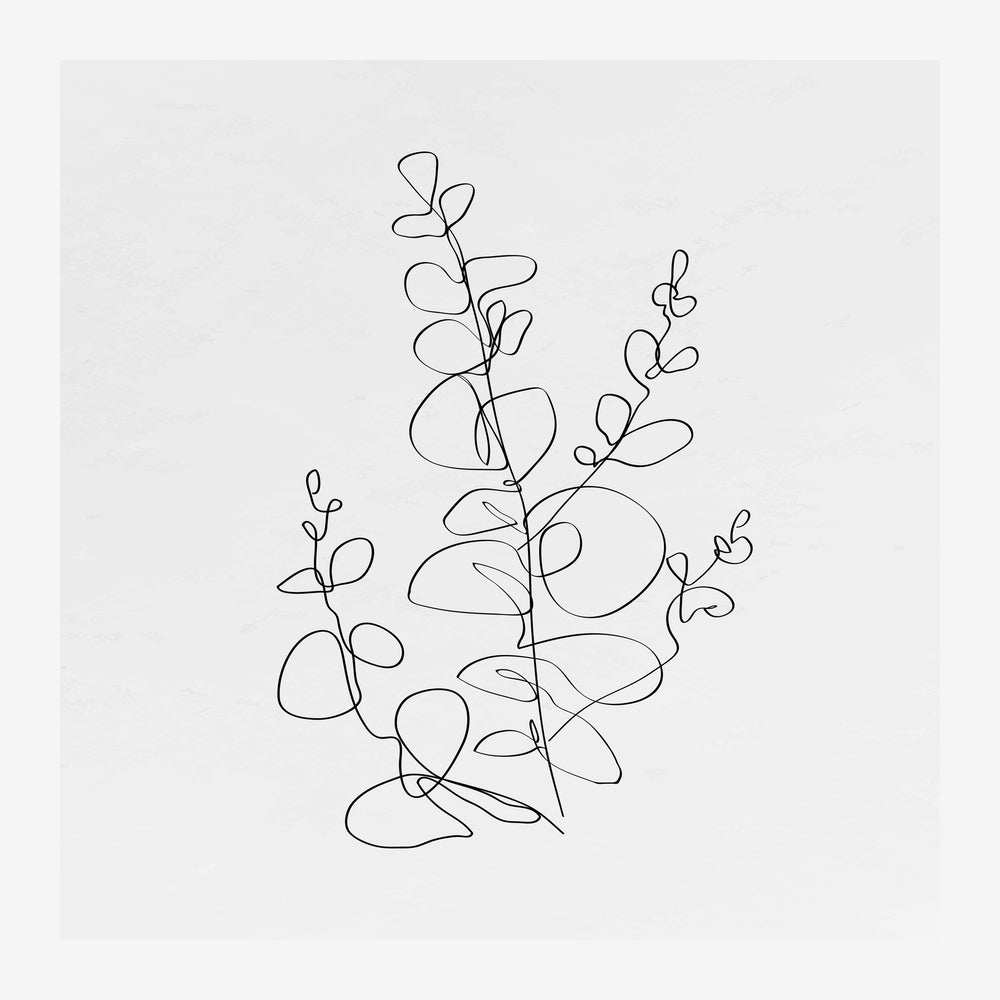 Dessin au trait minimaliste d'une branche d'eucalyptus avec feuilles arrondies sur fond blanc, style line art épuré.