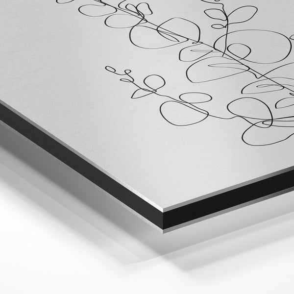 Branches d'eucalyptus en line art noir et blanc — Aluminium Dibond