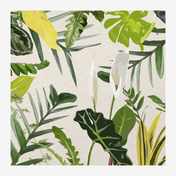Composition de feuilles vertes de plantes d'intérieur variées sur fond beige pâle, dans un style épuré proche de l'herbier.