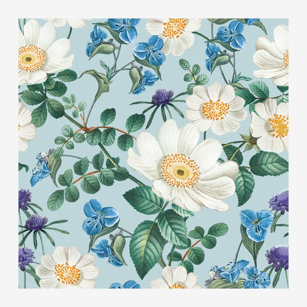 Motif floral répétitif sur fond bleu ciel pâle, composé de fleurs blanches à cœur jaune doré, fleurs bleues et pourpres.