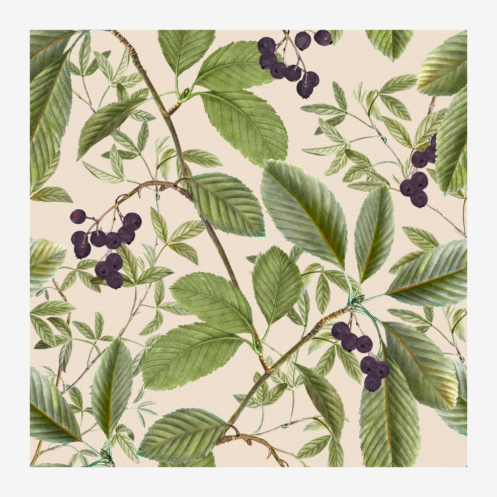 Motif botanique carré montrant des branches avec des baies noires et des feuilles vertes sur un fond beige.