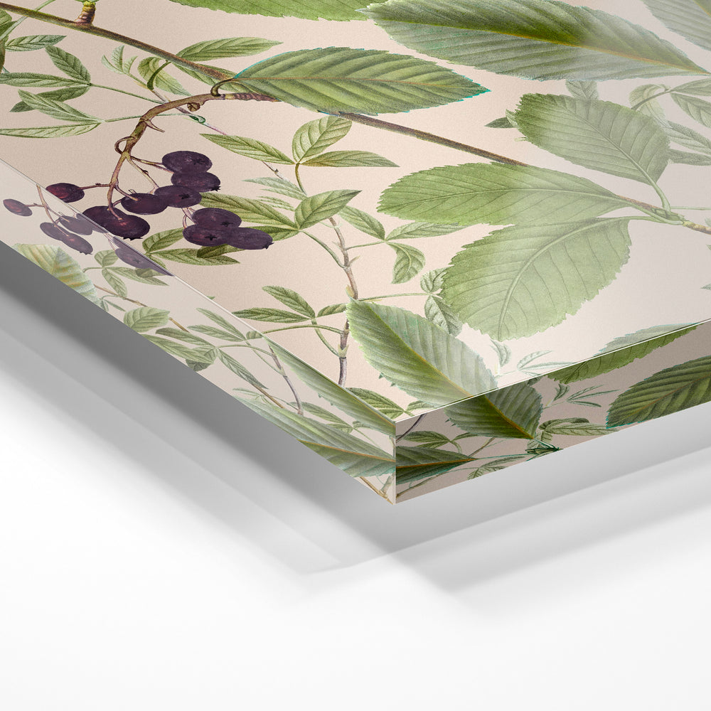 Gros plan de la matière : le tirage sous verre acrylique, tranche transparente visible.