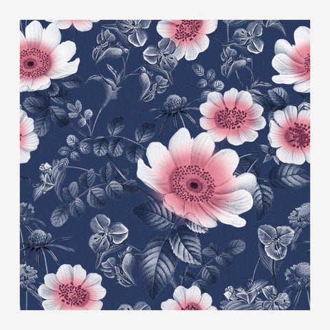 Fleurs rose et blanc, botanique bleu nuit