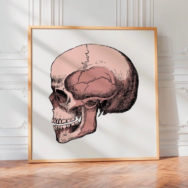 Crâne anatomique, line art et teinte beige — Poster HP mat