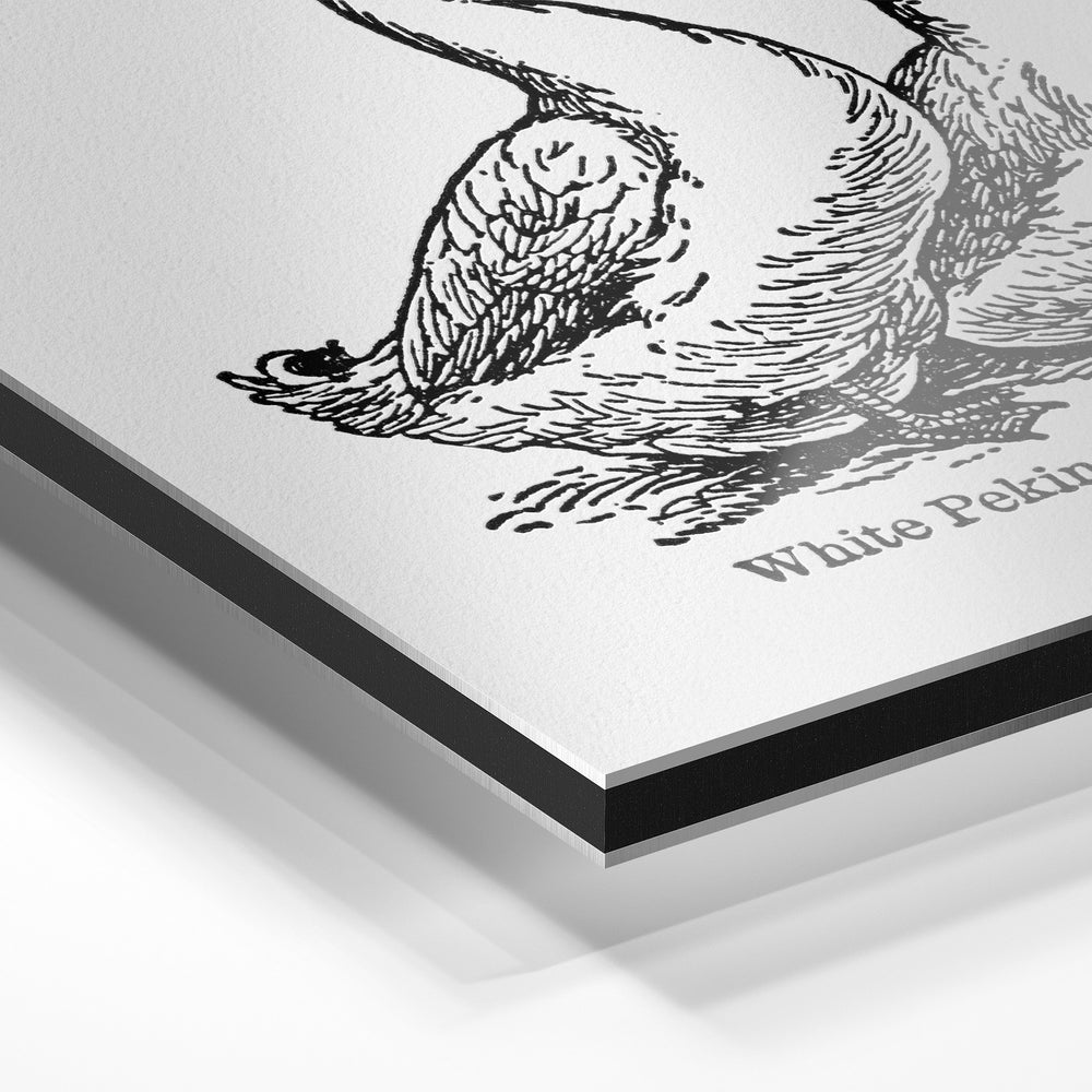 Gros plan du relief : la surépaisseur d'encre en lumière rasante sur aluminium Dibond.