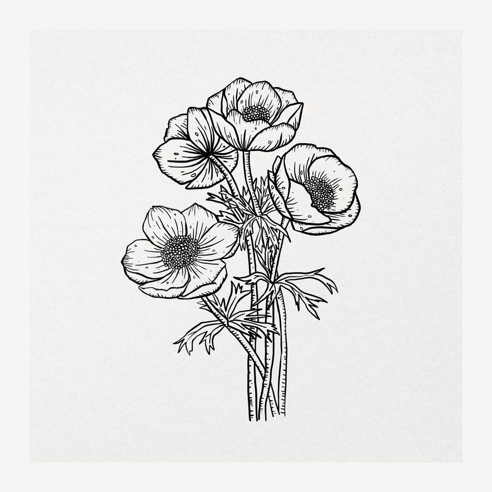 Dessin au trait noir et blanc de quatre fleurs d'anémone avec feuilles finement détaillées sur fond gris clair.