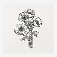 Dessin au trait noir et blanc de quatre fleurs d'anémone avec feuilles finement détaillées sur fond gris clair.