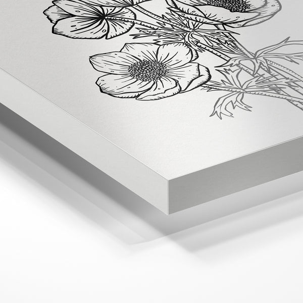 Fleurs anemone en line art noir et blanc — Verre acrylique
