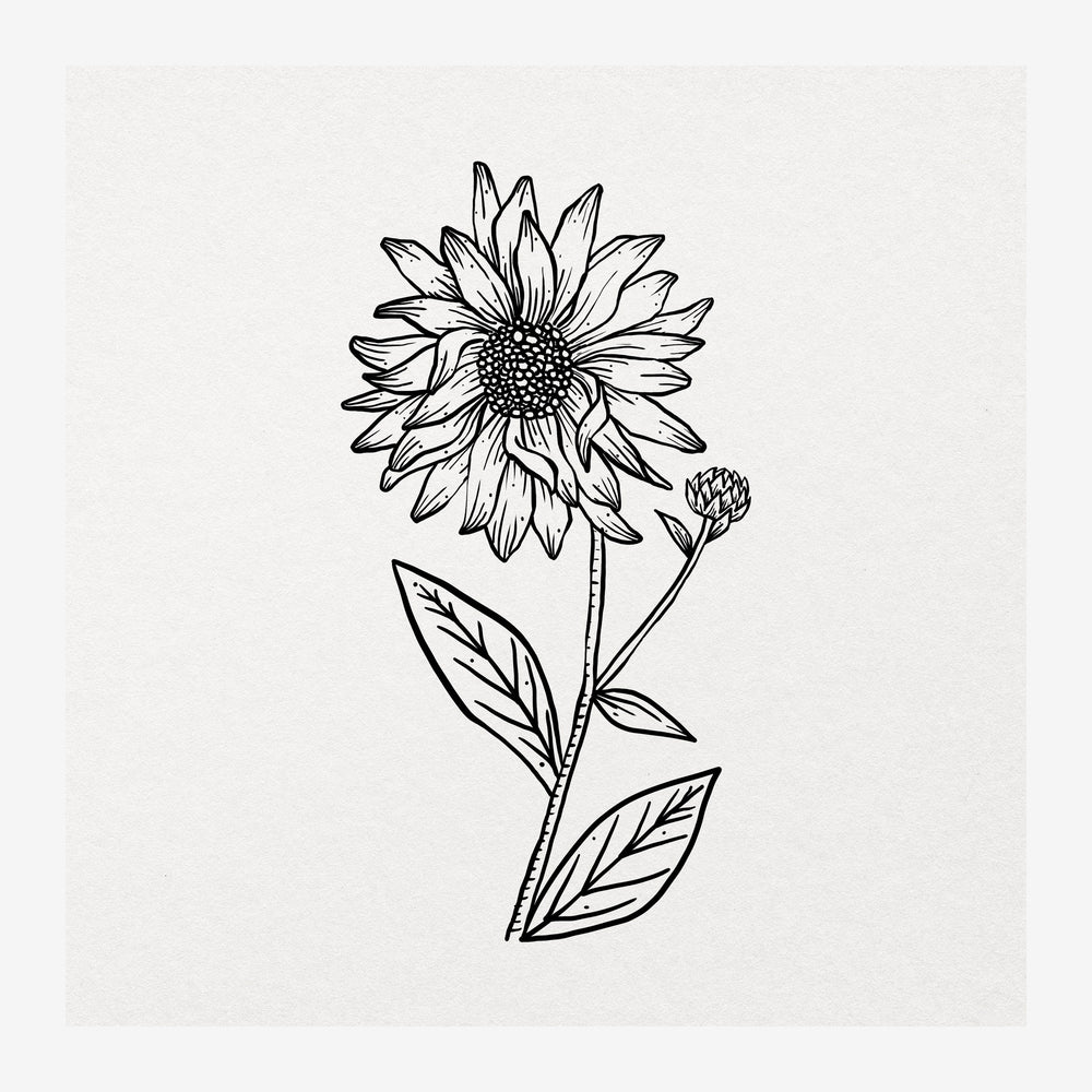 Dessin au trait noir d'un tournesol avec ses pétales pointus, un bourgeon latéral et des feuilles, sur fond beige clair.