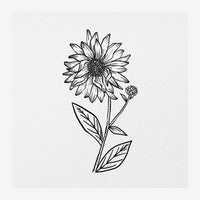 Dessin au trait noir d'un tournesol avec ses pétales pointus, un bourgeon latéral et des feuilles, sur fond beige clair.