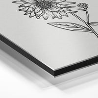 Gros plan de la matière : le tirage contrecollé sur aluminium Dibond mat, tranche visible.