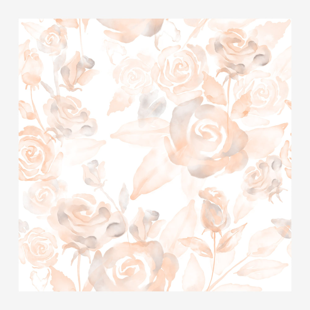 Composition florale avec des roses pêche et beige en effet aquarelle dispersées sur un fond blanc, dans une palette de.