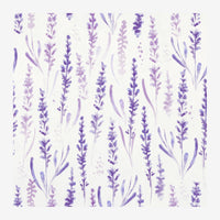 Composition de tiges de lavande violettes en dégradés pastel, disposées verticalement sur fond blanc clair, style botanique.