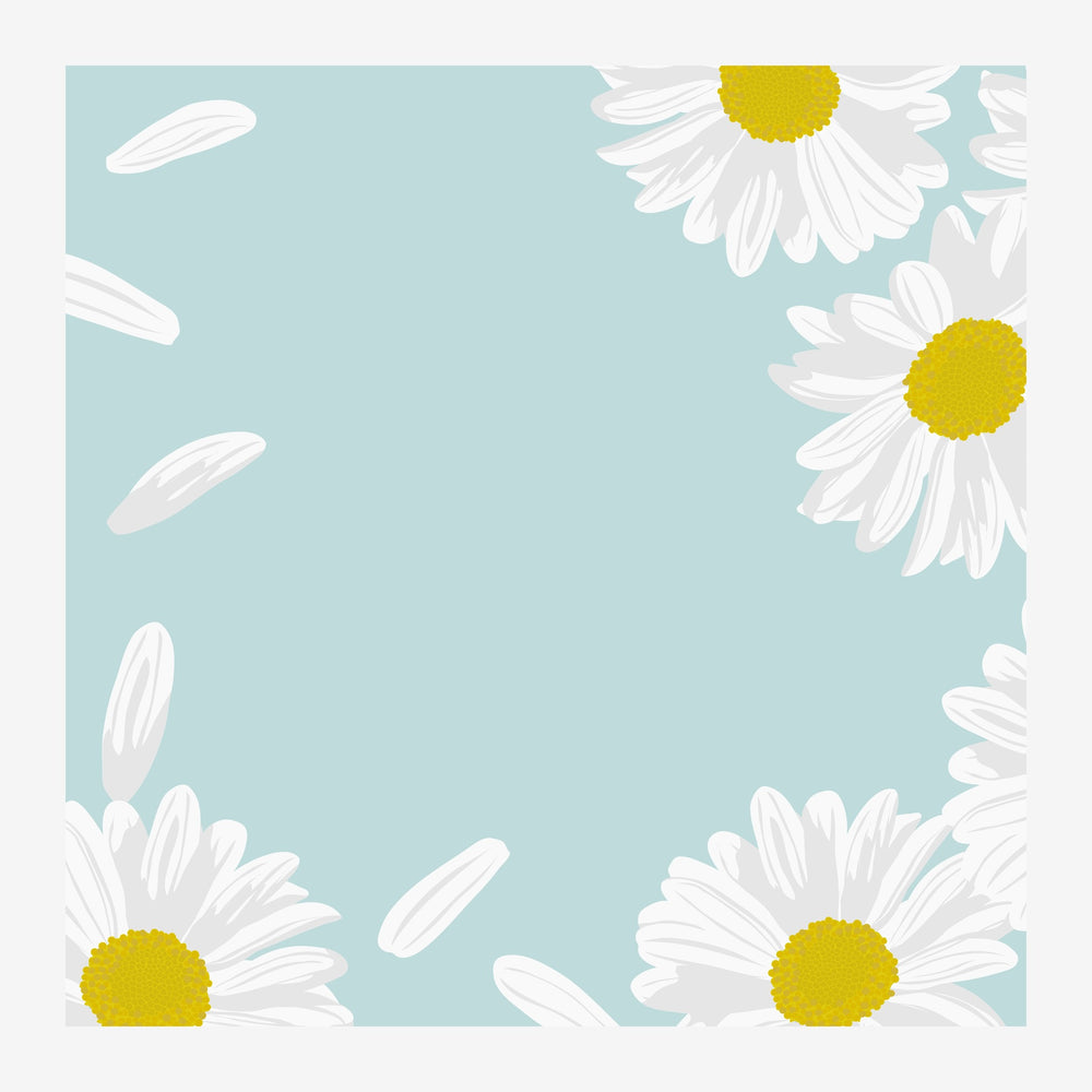Affiche carrée avec quatre marguerites aux pétales blancs et cœurs jaunes disposées aux angles d'un fond bleu ciel pastel.
