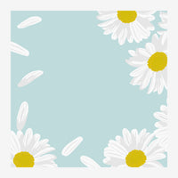 Affiche carrée avec quatre marguerites aux pétales blancs et cœurs jaunes disposées aux angles d'un fond bleu ciel pastel.