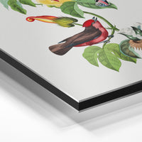 Gros plan de la matière : le tirage contrecollé sur aluminium Dibond mat, tranche visible.