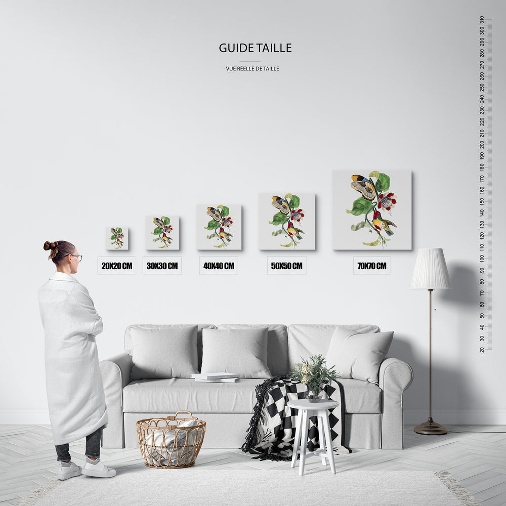 Le tableau, vue guide_taille.