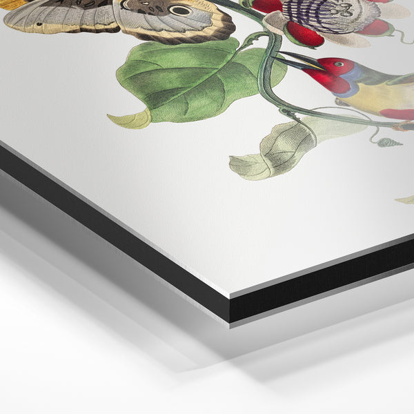 Papillon et colibri sur fleur rouge, botanique classique — Aluminium Dibond relief 3D