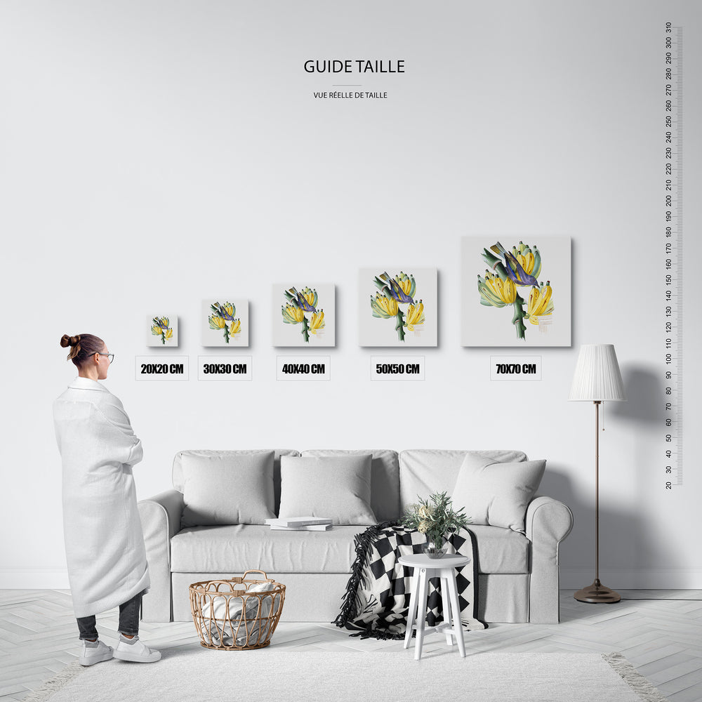 Le tableau, vue guide_taille.