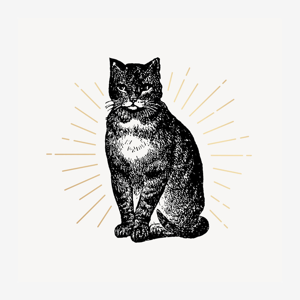 Un chat assis de face, dessiné en noir avec des hachures fines, entouré de rayons dorés qui rayonnent comme une auréole.