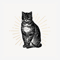 Un chat assis de face, dessiné en noir avec des hachures fines, entouré de rayons dorés qui rayonnent comme une auréole.